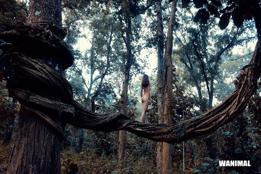 WANIMAL官方出品18年3月VIP无圣光套图（上）[75P]