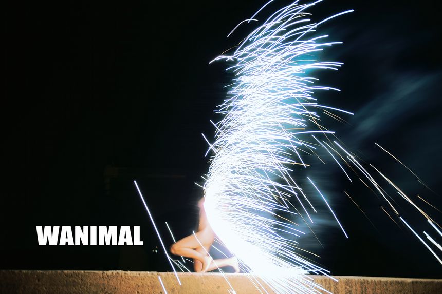 WANIMAL官方出品18年3月VIP无圣光套图（上）[75P]