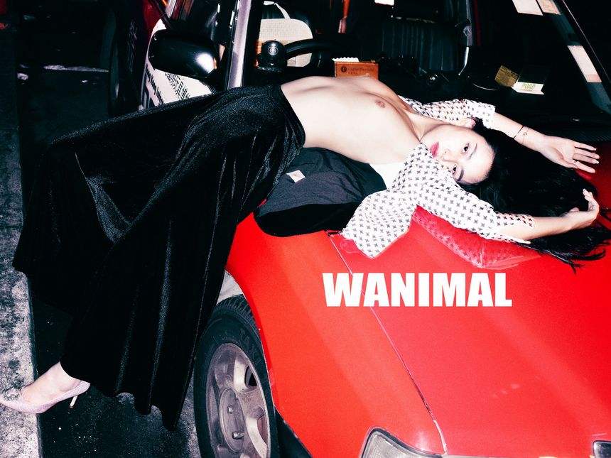 WANIMAL官方出品18年3月VIP无圣光套图（下）[75P]