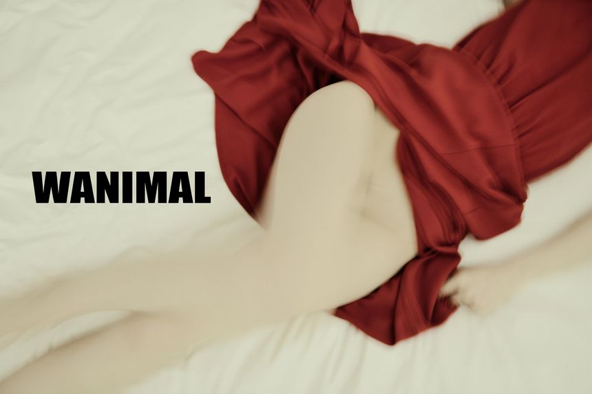 WANIMAL官方出品1月VIP无圣光套图[101P]