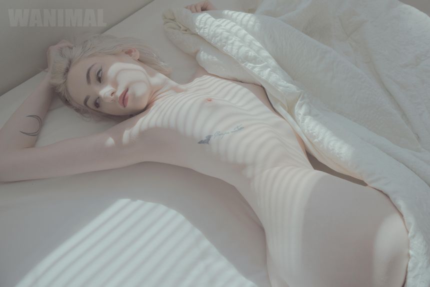WANIMAL官方出品1月VIP无圣光套图[101P]