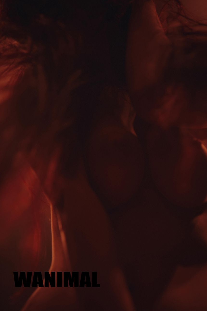 WANIMAL官方出品1月VIP无圣光套图[101P]