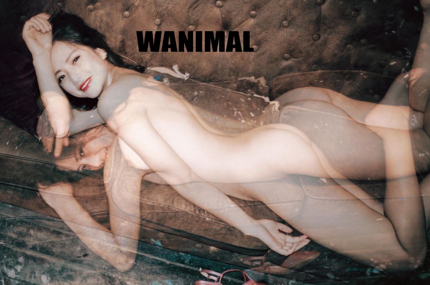 WANIMAL官方出品1月VIP无圣光套图[101P]