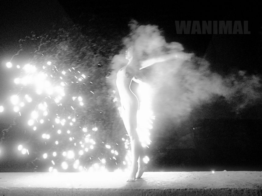 WANIMAL官方出品1月VIP无圣光套图[101P]