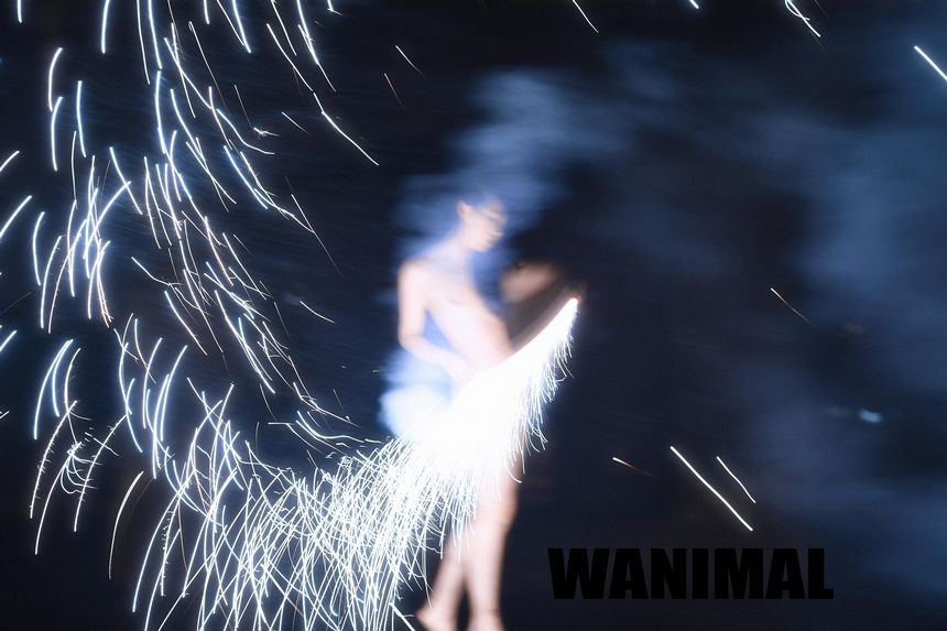 WANIMAL官方出品1月VIP无圣光套图[101P]