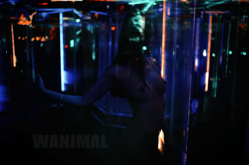 WANIMAL官方出品1月VIP无圣光套图[101P]