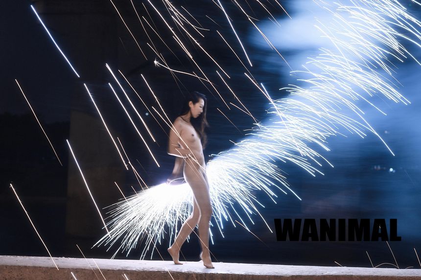 WANIMAL官方出品1月VIP无圣光套图[101P]