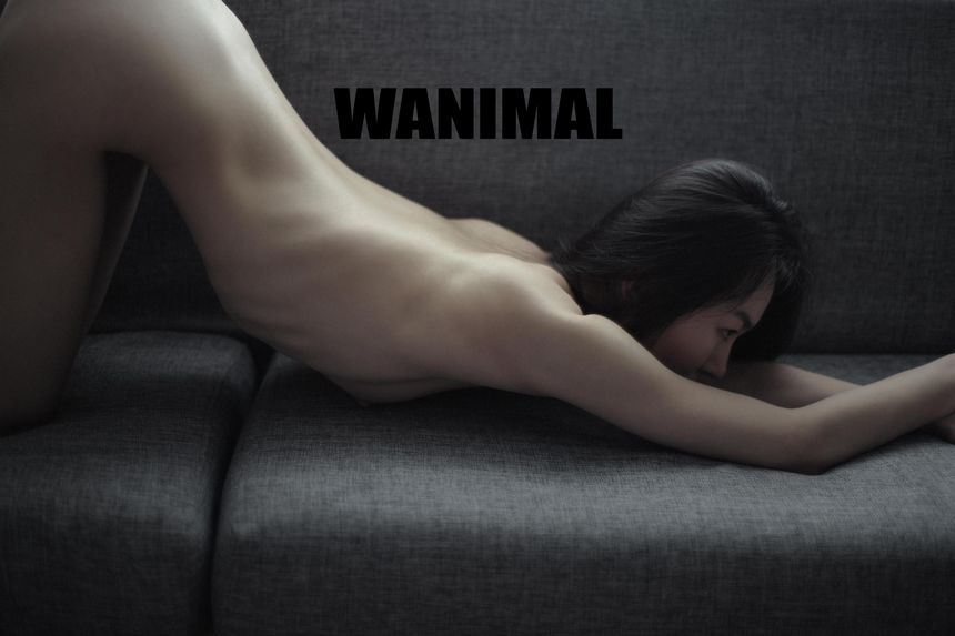 WANIMAL官方出品1月VIP无圣光套图[101P]