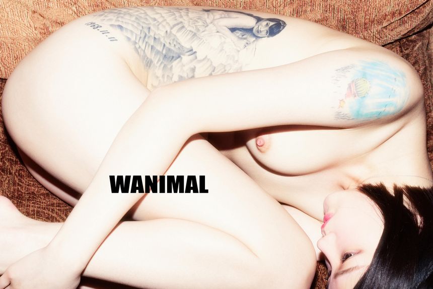 WANIMAL官方出品1月VIP无圣光套图[101P]