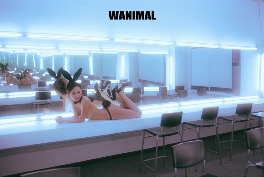 WANIMAL官方出品1月VIP无圣光套图[101P]