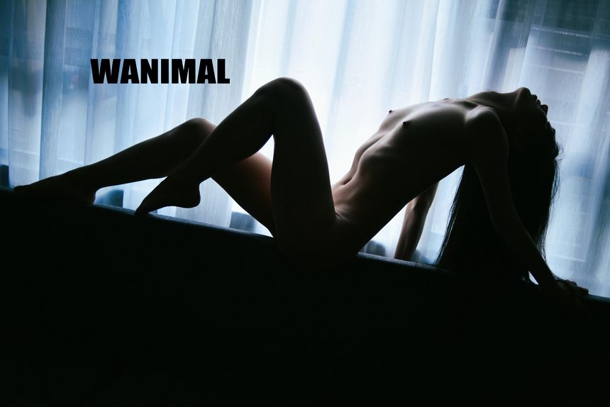 WANIMAL官方出品1月VIP无圣光套图[101P]