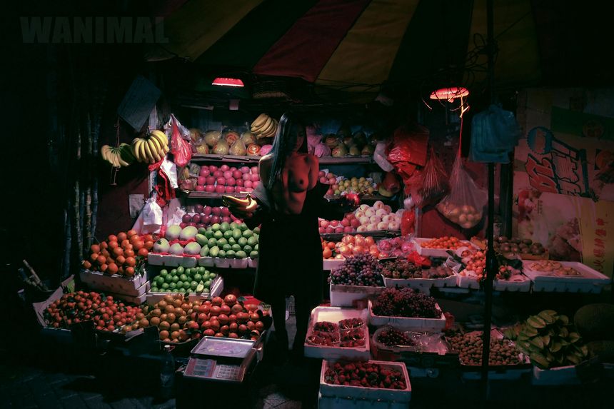 WANIMAL官方出品1月VIP无圣光套图[101P]