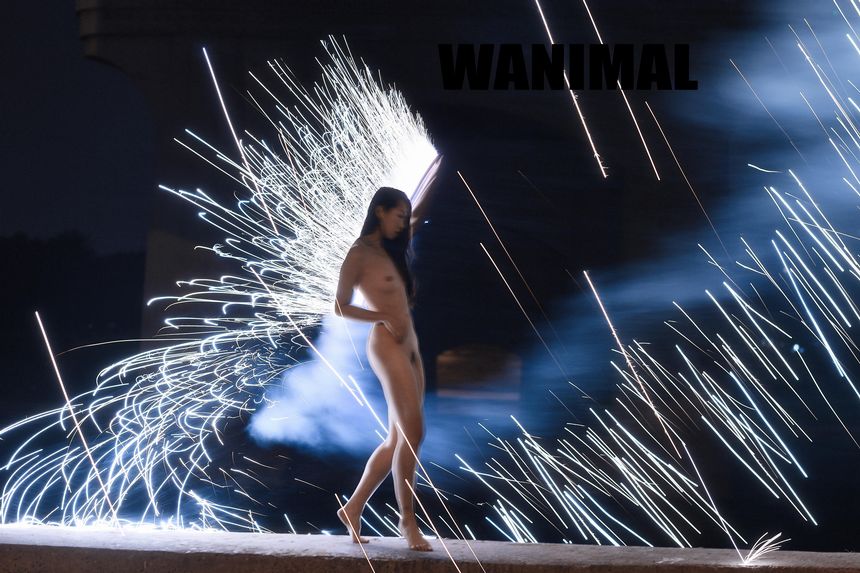 WANIMAL官方出品1月VIP无圣光套图[101P]