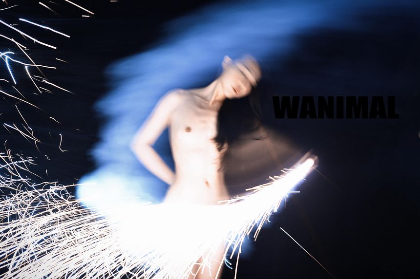 WANIMAL官方出品1月VIP无圣光套图[101P]