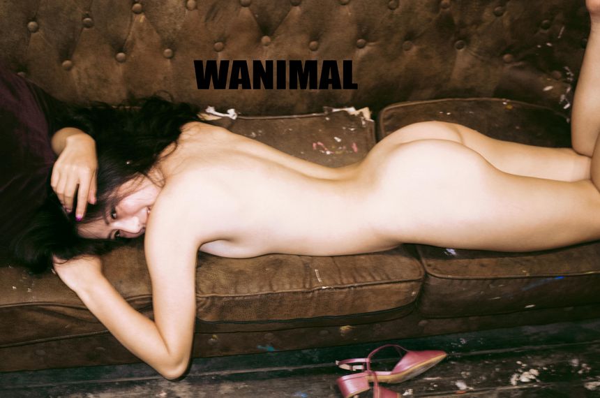 WANIMAL官方出品1月VIP无圣光套图[101P]