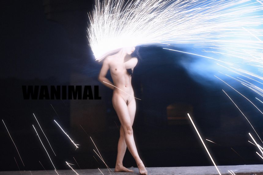 WANIMAL官方出品1月VIP无圣光套图[101P]