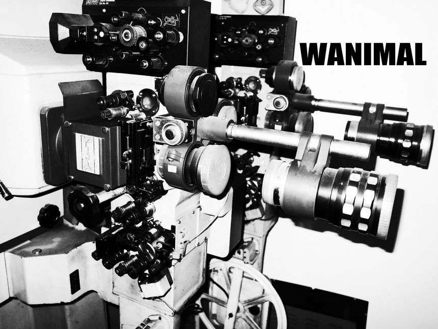 WANIMAL官方出品1月VIP无圣光套图[101P]