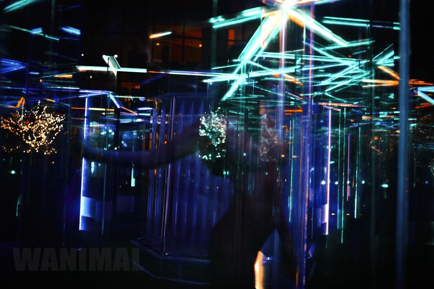 WANIMAL官方出品1月VIP无圣光套图[101P]