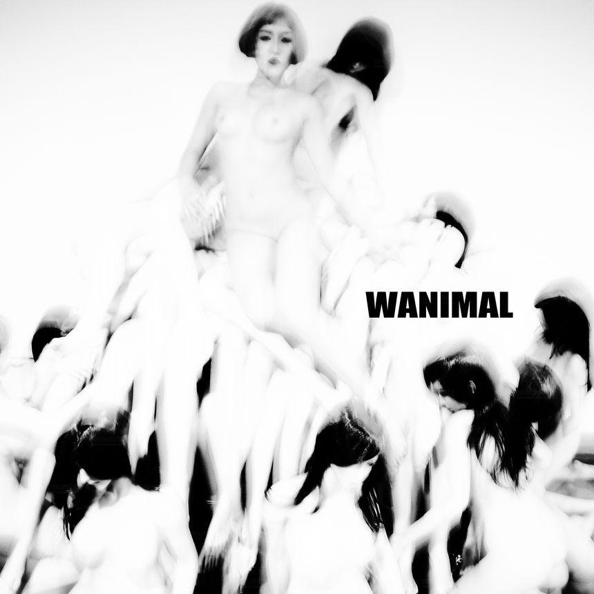 WANIMAL官方出品2017年11月VIP无圣光套图[106P]