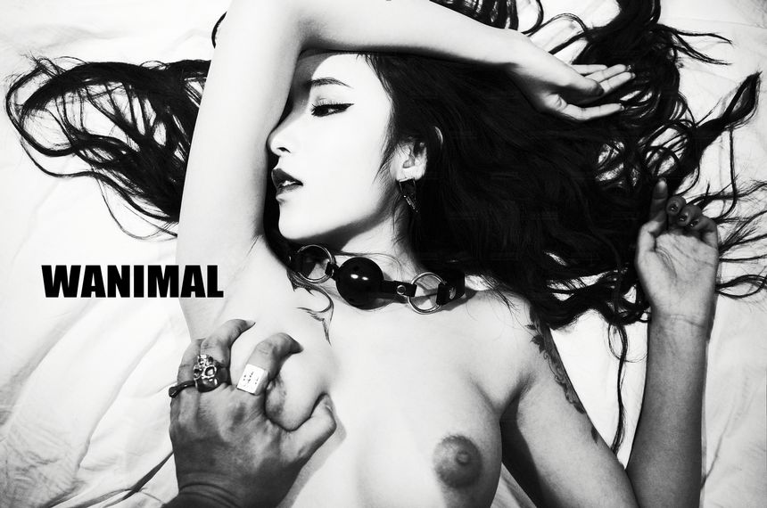 WANIMAL官方出品2017年11月VIP无圣光套图[106P]