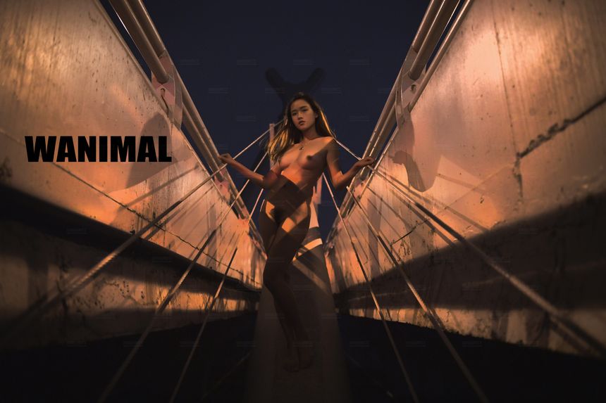 WANIMAL官方出品2017年11月VIP无圣光套图[106P]