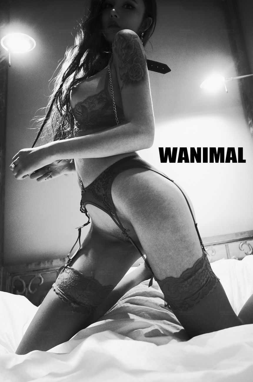 WANIMAL官方出品2017年11月VIP无圣光套图[106P]