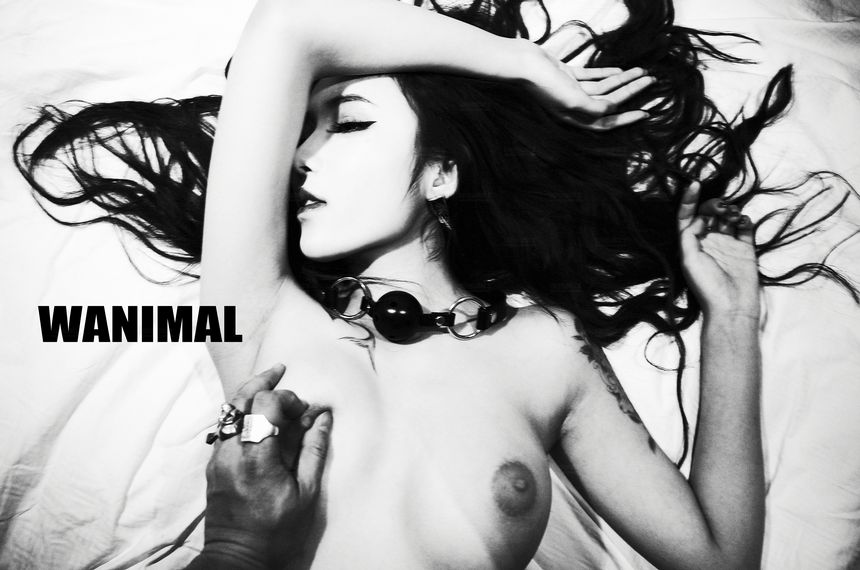 WANIMAL官方出品2017年11月VIP无圣光套图[106P]