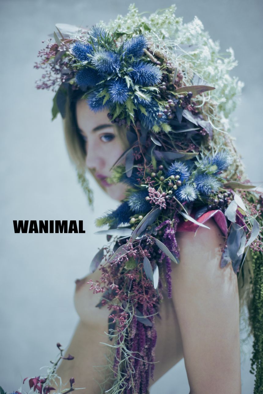 WANIMAL官方出品2017年11月VIP无圣光套图[106P]