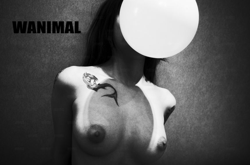 WANIMAL官方出品2017年11月VIP无圣光套图[106P]
