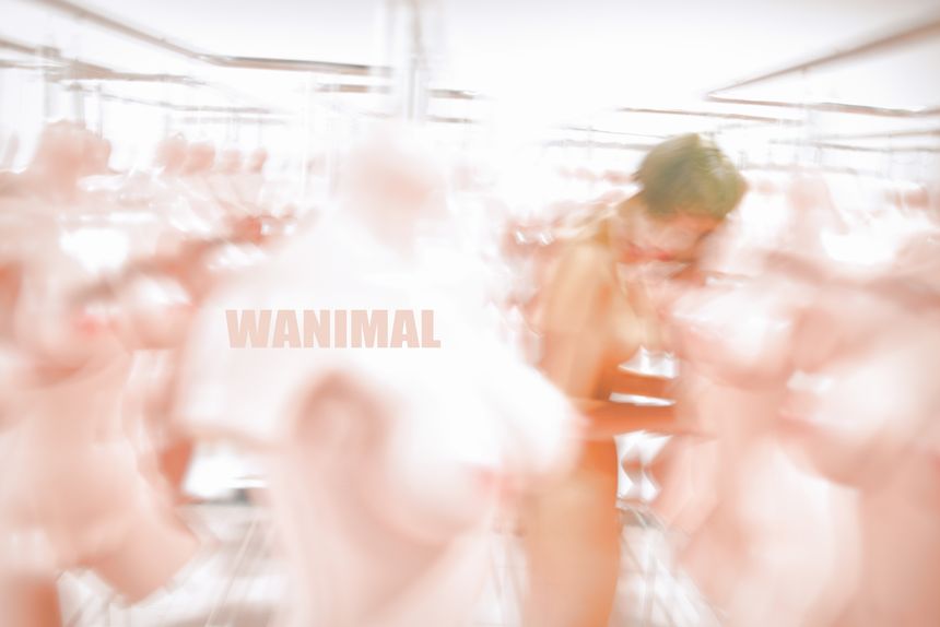 WANIMAL官方出品2017年11月VIP无圣光套图[106P]
