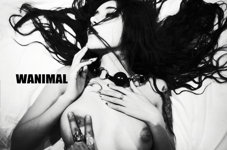 WANIMAL官方出品2017年11月VIP无圣光套图[106P]