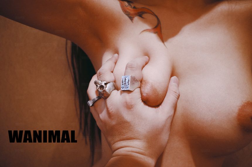 WANIMAL官方出品2017年11月VIP无圣光套图[106P]