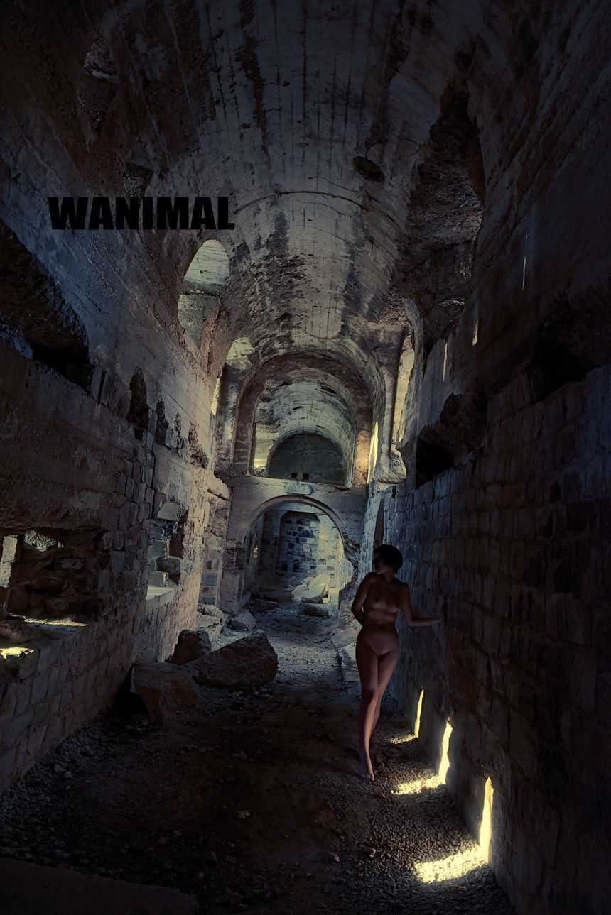 WANIMAL官方出品2017年11月VIP无圣光套图[106P]
