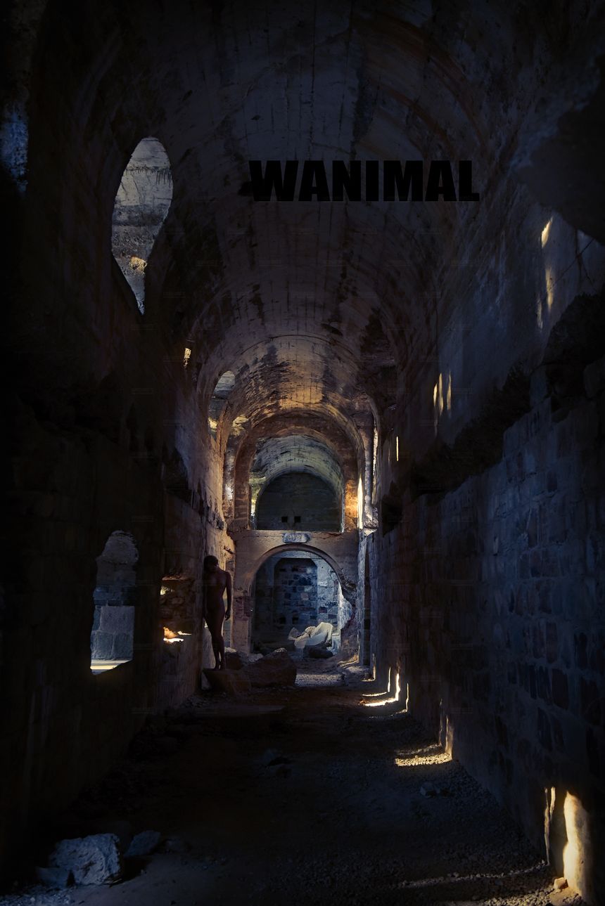 WANIMAL官方出品2017年11月VIP无圣光套图[106P]