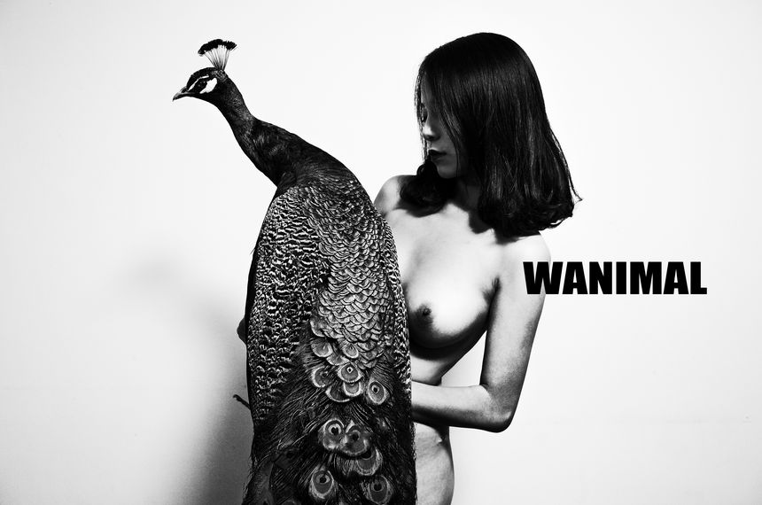 WANIMAL官方出品2017年12月VIP无圣光套图[149P]