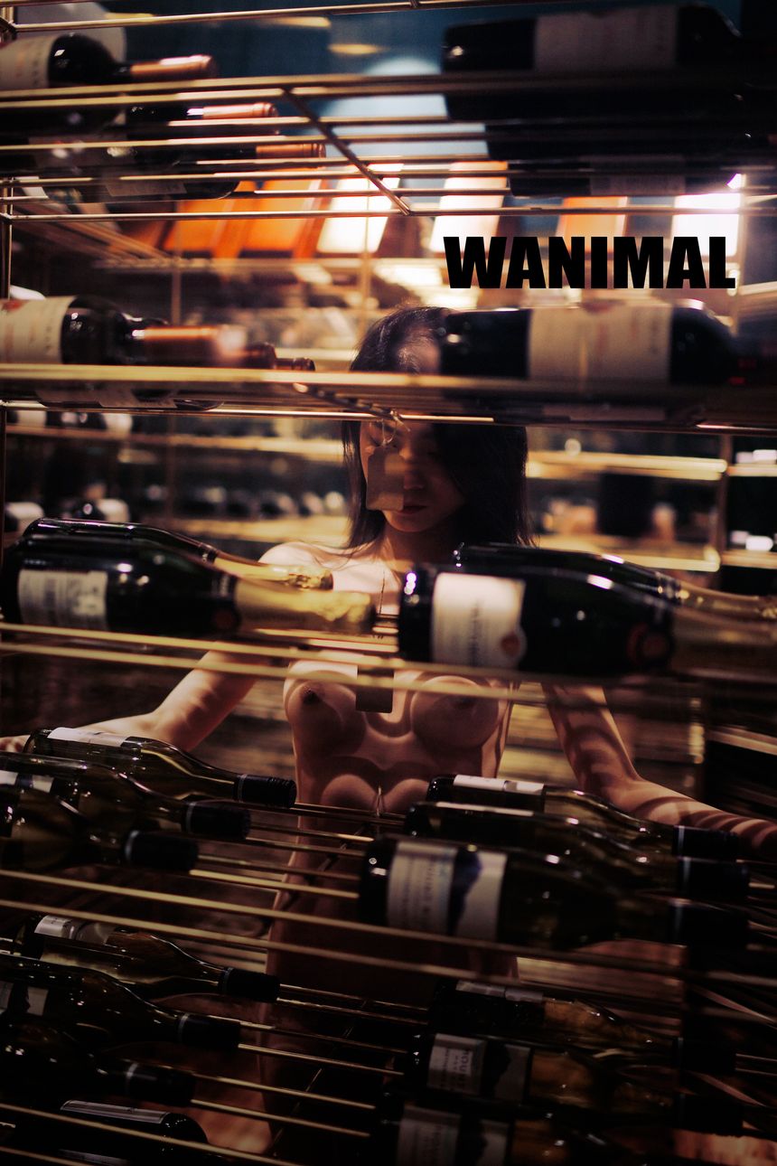 WANIMAL官方出品2017年12月VIP无圣光套图[149P]