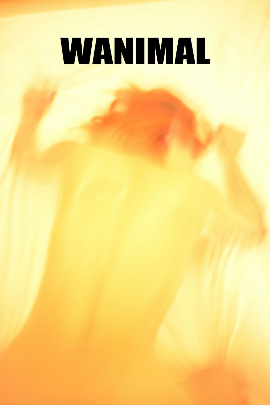 WANIMAL官方出品2017年7月VIP无圣光套图[159P]