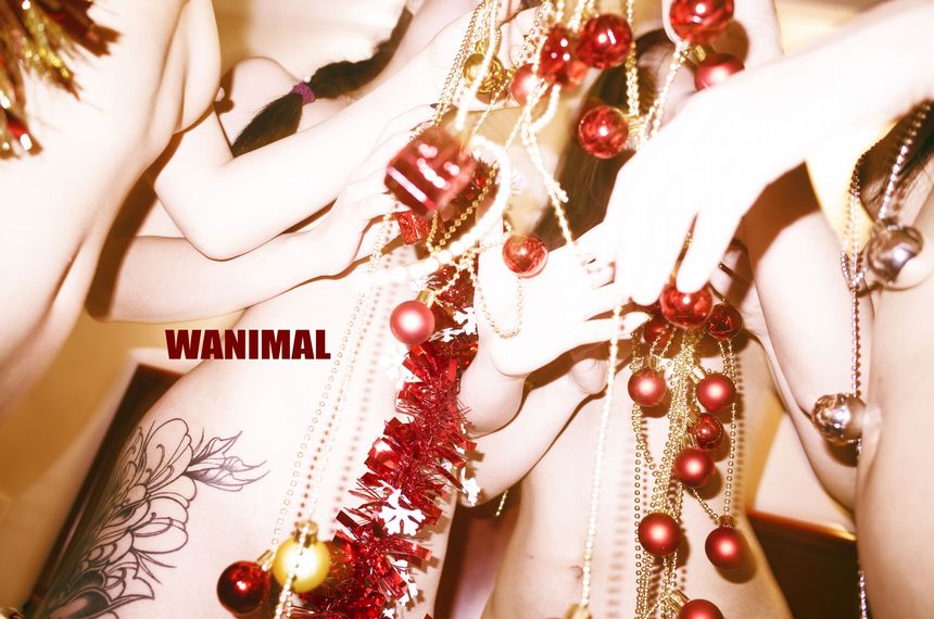 WANIMAL官方出品2018年1月VIP无圣光套图（下）[78P]