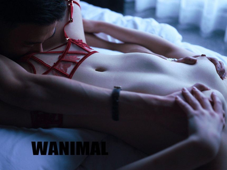 WANIMAL官方出品2019年3月无圣光套图（四）[60P]