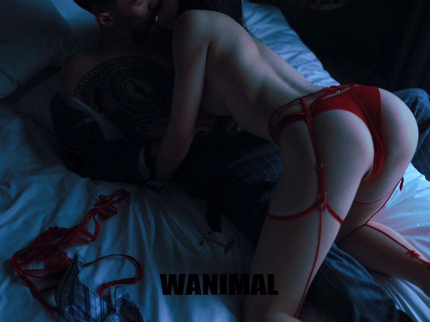 WANIMAL官方出品2019年3月无圣光套图（四）[60P]