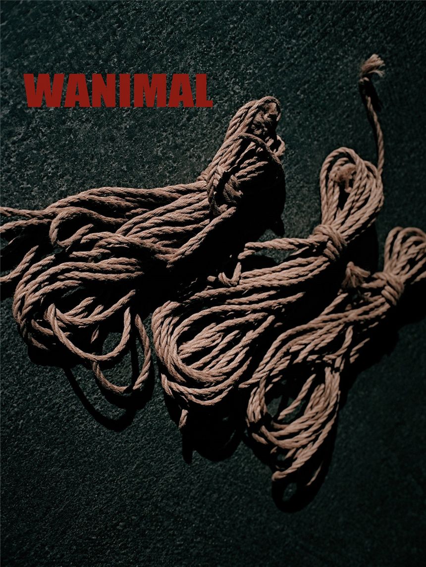 WANIMAL官方出品2019年6月无圣光套图[70P]