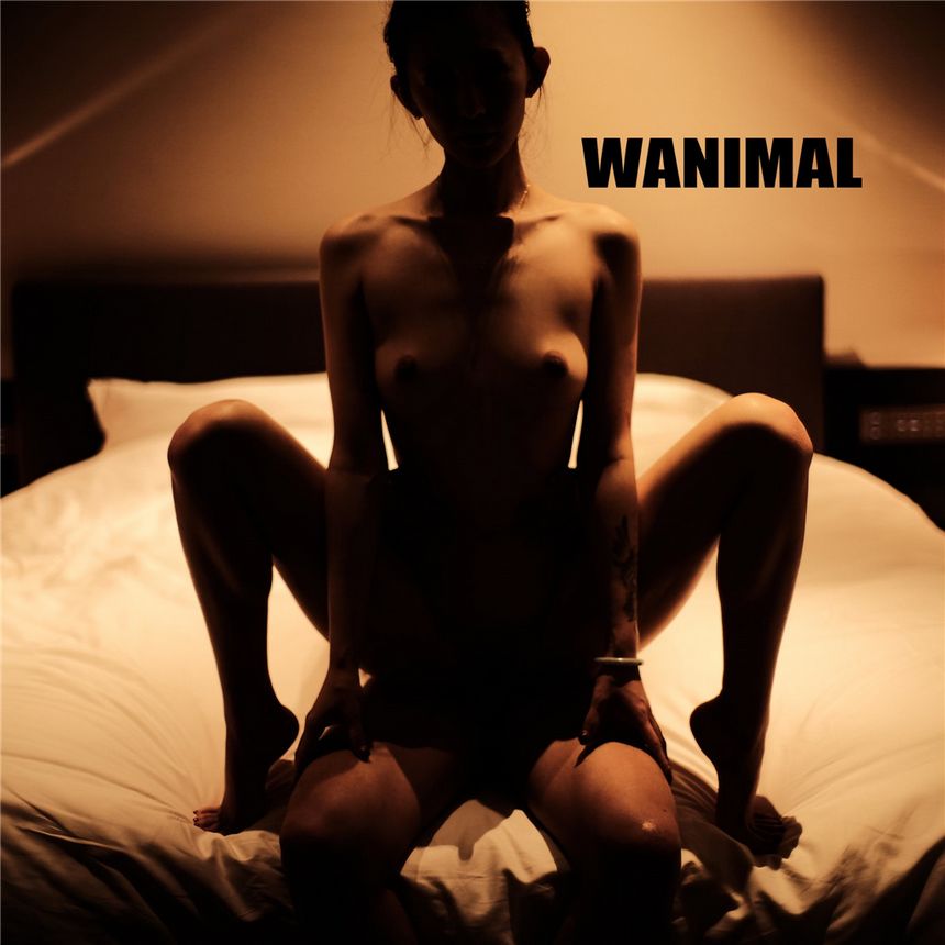 WANIMAL官方出品2019年6月无圣光套图[70P]