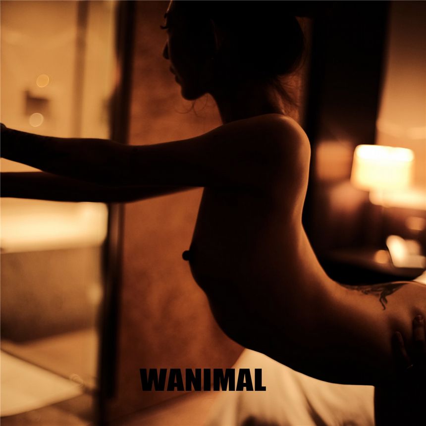 WANIMAL官方出品2019年6月无圣光套图[70P]