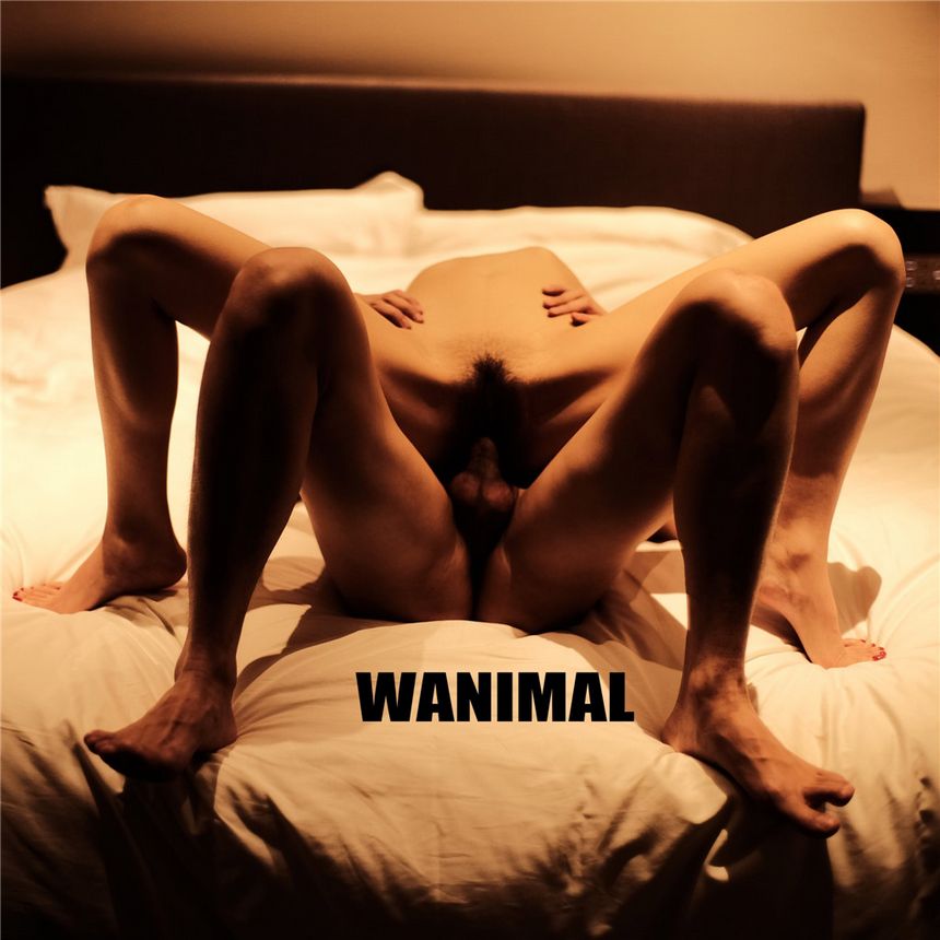 WANIMAL官方出品2019年6月无圣光套图[70P]