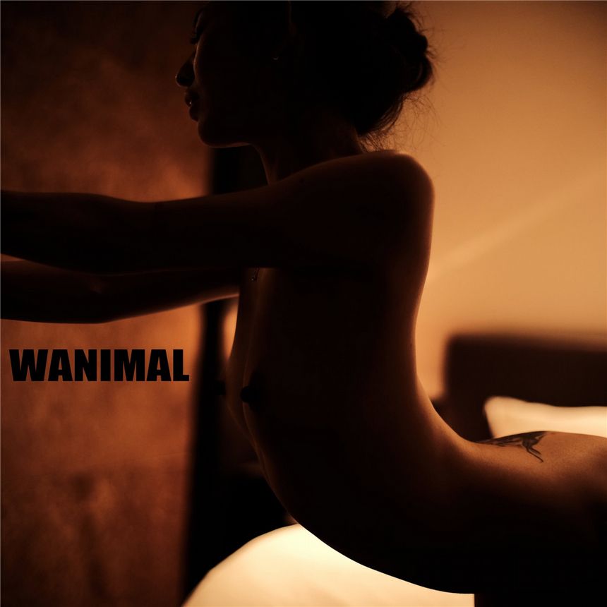 WANIMAL官方出品2019年6月无圣光套图[70P]