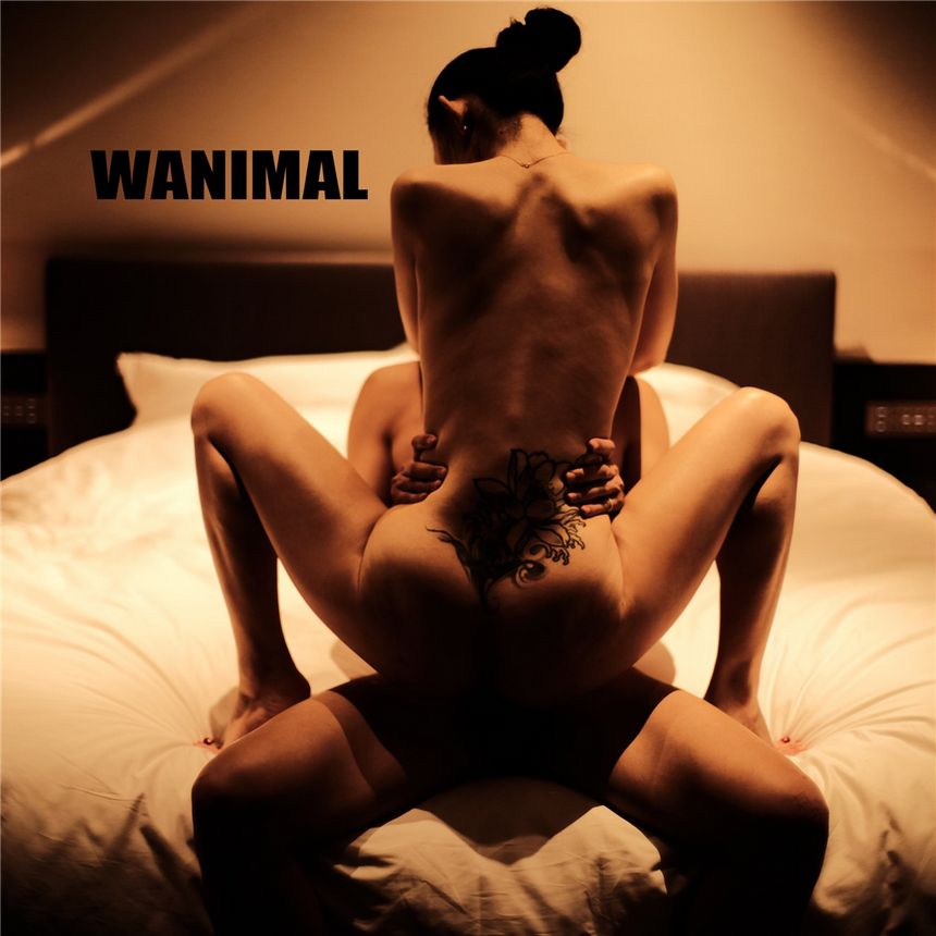WANIMAL官方出品2019年6月无圣光套图[70P]