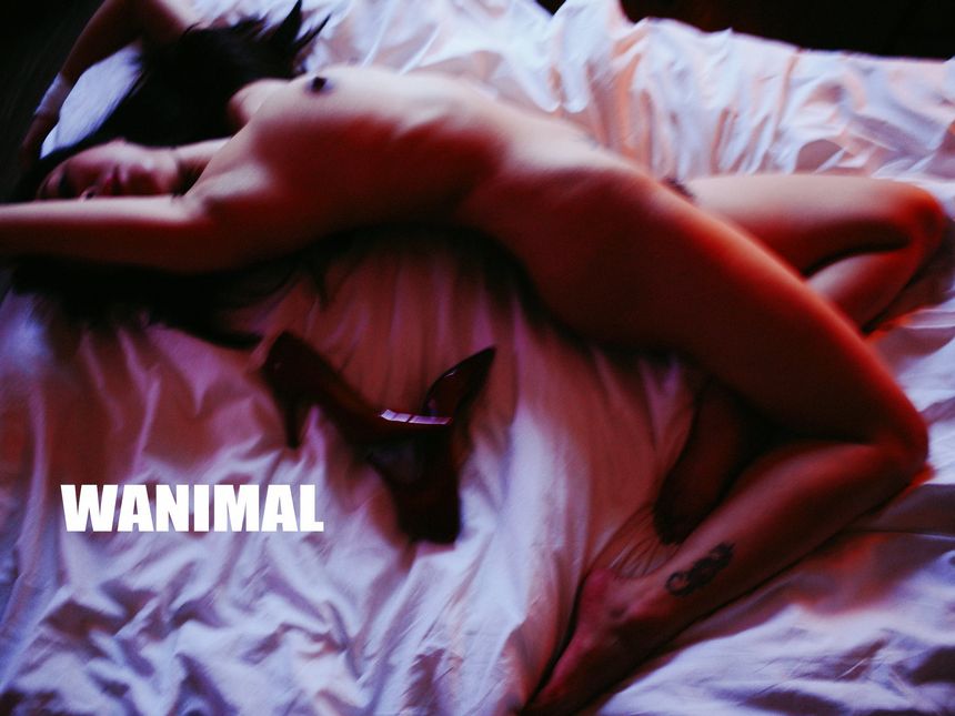 WANIMAL官方出品2019年7月无圣光套图[72P]