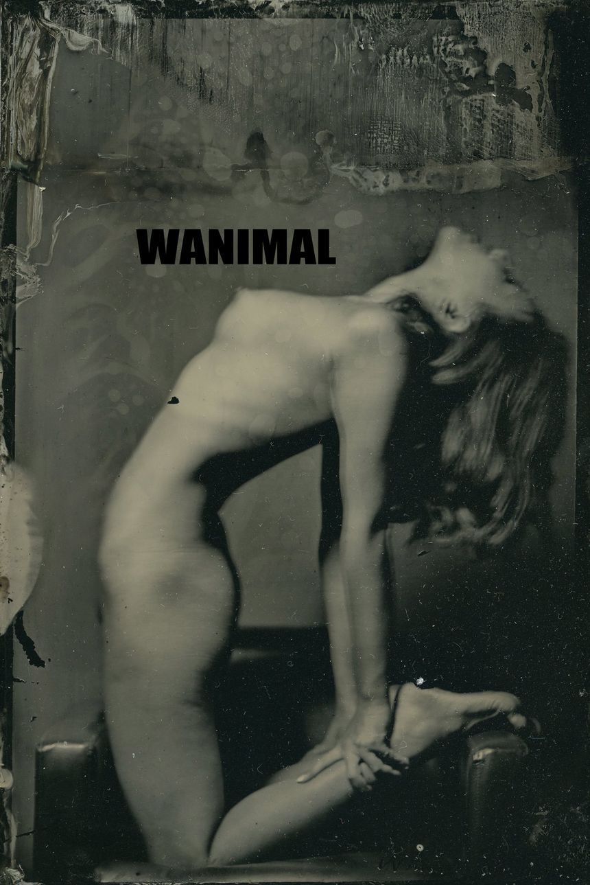 WANIMAL官方出品2019年7月无圣光套图[72P]