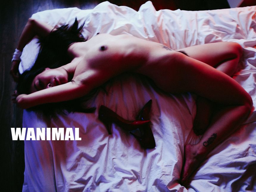 WANIMAL官方出品2019年7月无圣光套图[72P]