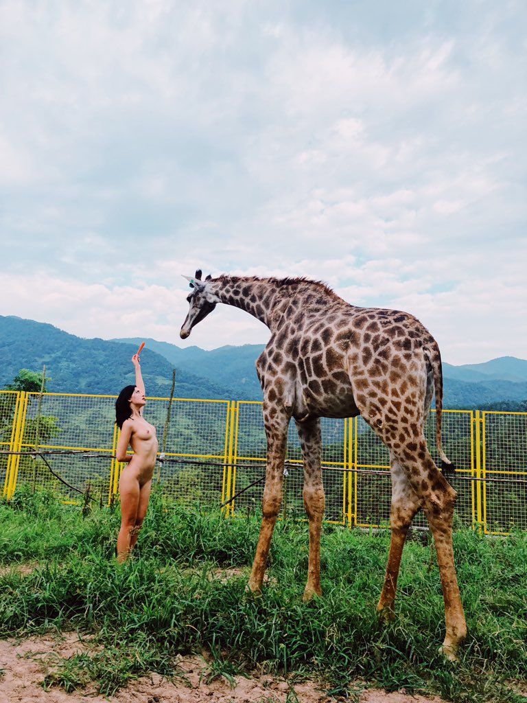 WANIMAL官方出品2019年7月无圣光套图（三）[111P]